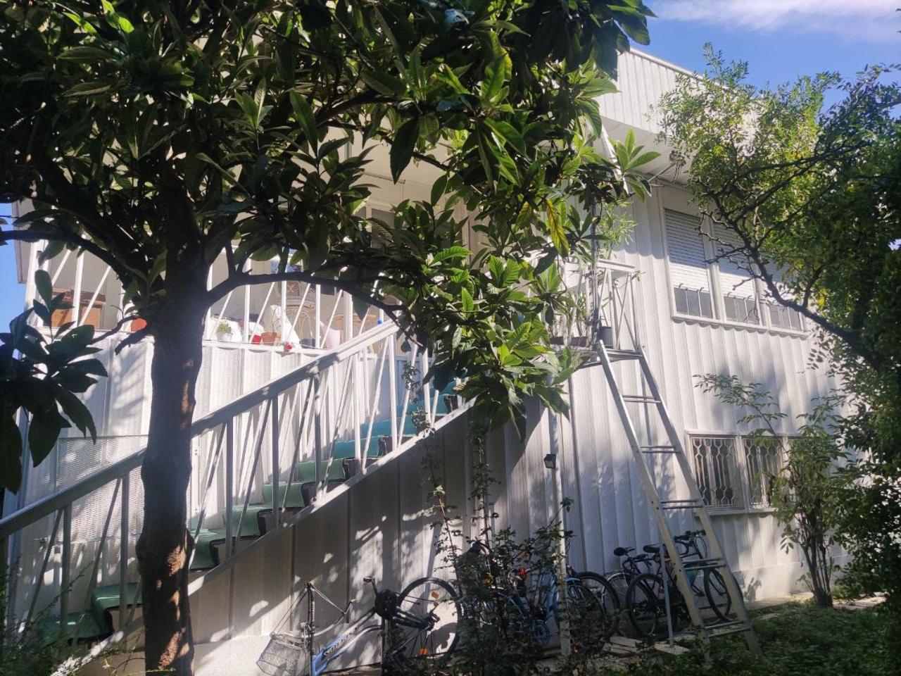 绿色庄园酒店 帕多瓦 外观 照片